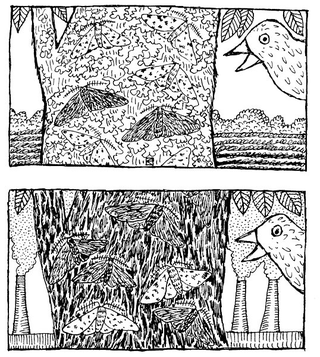 Illustration for article titled The Mothman Who Created An Evolutionary Controversy